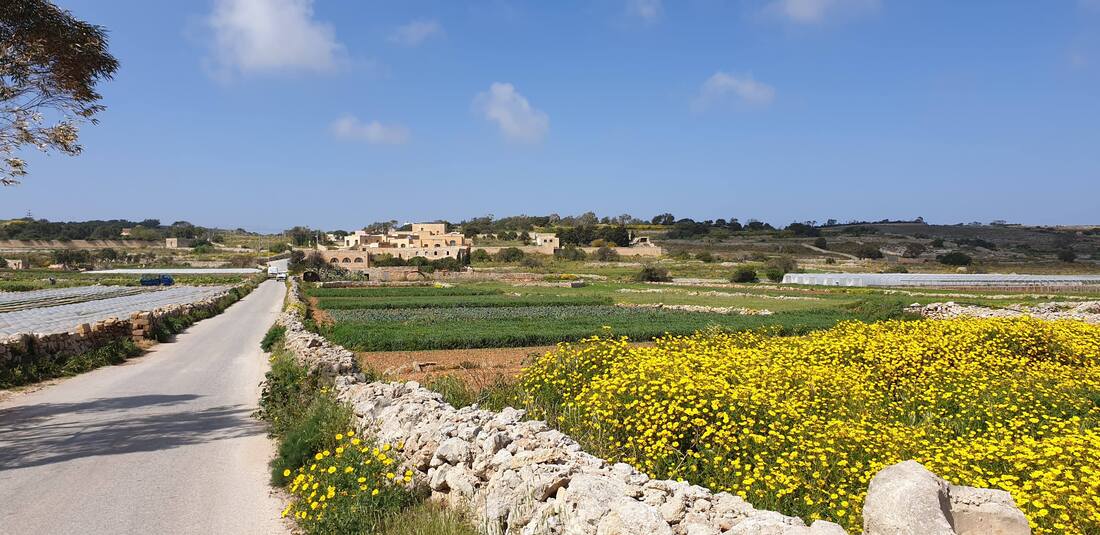 Picture Maltas natur