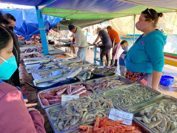 Billede af fisk på markedet